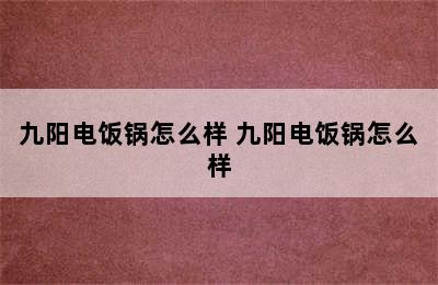 九阳电饭锅怎么样 九阳电饭锅怎么样